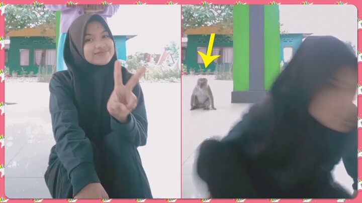 Khu vực này có nhiều người thú vị #21