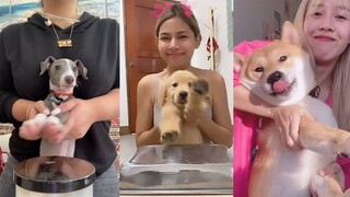 TikTok Pets Doing Funny Things 😅 - TikTok Trend Compilation 4 | Pet Squad