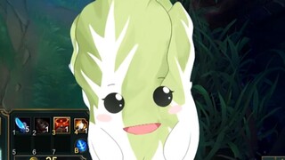 Oh no, this cabbage really got me confused.