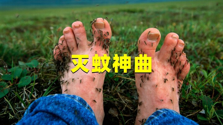 “Bài hát diệt muỗi” có thực sự diệt được muỗi? Netizen đã tự tay thử và thấy hiệu quả, vậy sự thật l