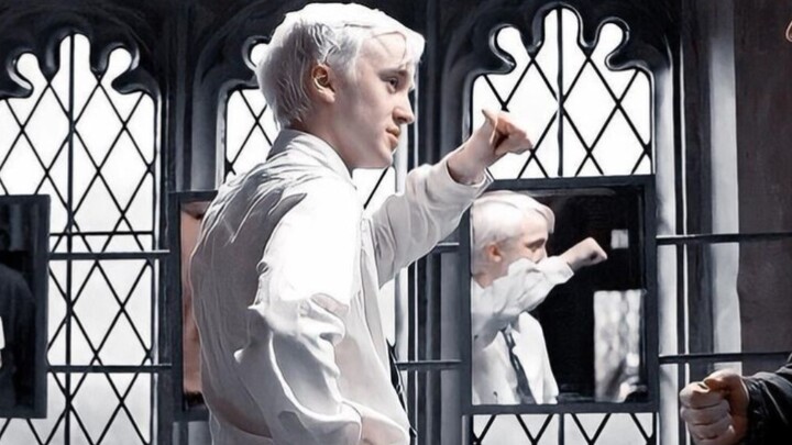 【HP】ฉันชอบดูเบื้องหลังของคุณชายมากกก!!