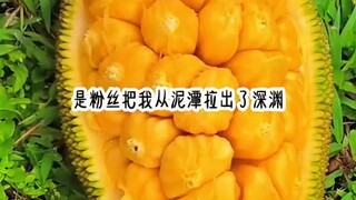 木棉招黑