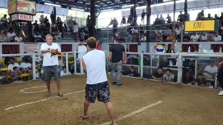 MALOLOS ARENA 2 HITS                                          FIRST FIGHT WIN