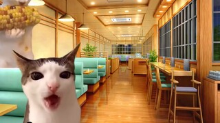 [Ready-to-eat] The Story of an Elder Who Liked Boys (Part 2) | Cat Meme