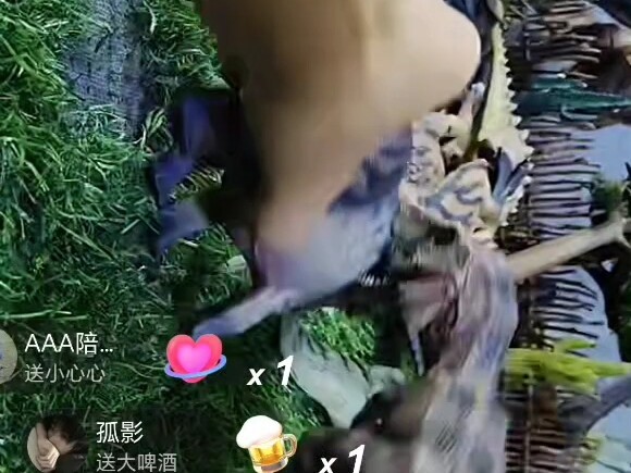 ผู้ชายร้องไห้อีกแล้ว ไดโนเสาร์ทริเซอราทอปส์เกือบฆ่าไทแรนโนซอรัสเร็กซ์ตัวเดียว