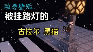 【动态壁纸】古拉尔集团董事长黑猫被挂路灯了
