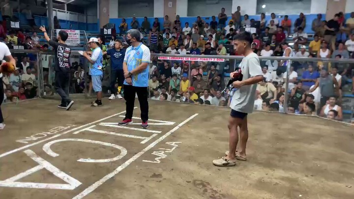 3hits tayo champion