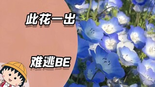 Thương Nguyệt Thảo không chơi game cấp thấp, đầy rẫy sự ức chế
