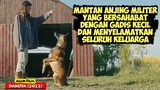 Kisah Mantan Anjing Militer Yang Jadi Penyelamat Seluruh Keluarga | Alur Cerita Film DAKOTA (2022)