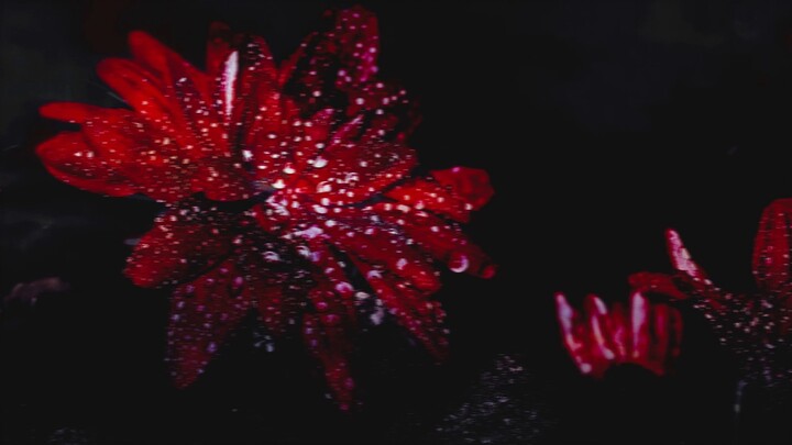 ▷Hypocrite | Dynamic lyrics layout sharing