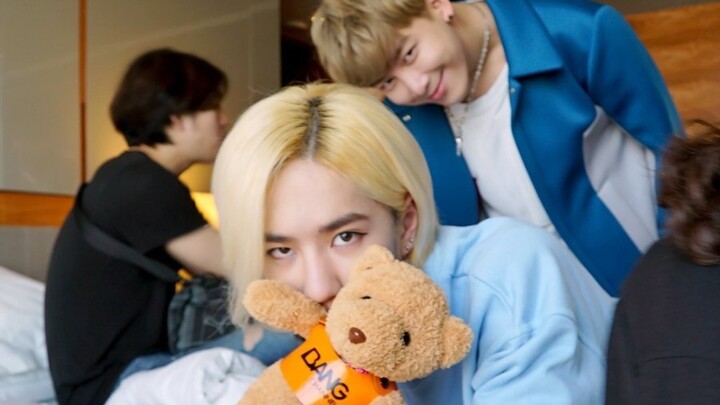 【وانغ ييبو】البلاك مولان وانغ: مرِح، لطيف، متفتح، ونشيط • يا بو!