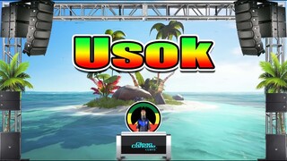 Asin - Usok (Rap Reggae Remix) Dj Jhanzkie Tiktok 2021