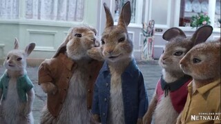 Peter Rabbit 2 The Runaway (2021) (NetNaija.com)