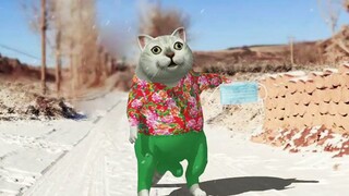 [MMD·3D]Bizarre Dance of a CAT