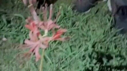 Rút nó ra cho anh ấy!