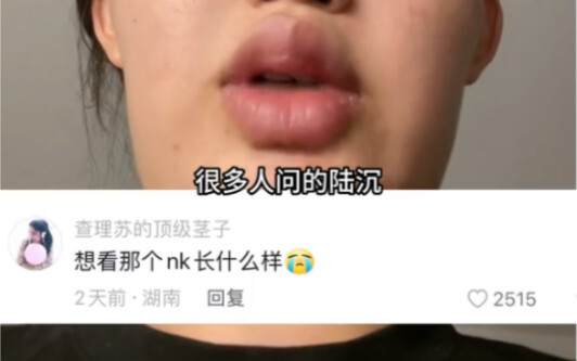 关于 陆沉的neku到底什么样子