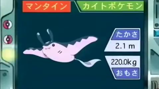 オーキド博士のポケモン講座(マンタイン)