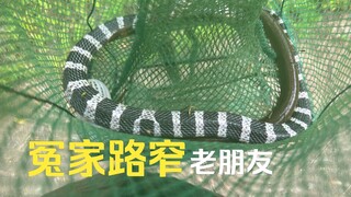 应该没有人比我更倒霉了吧