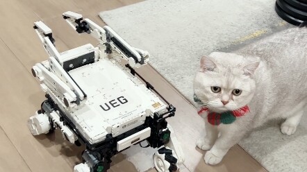 Benben baru saja berdandan untuk diajak bermain oleh anak-anak. Anda adalah anjing militer.