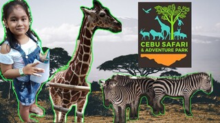 CEBU SAFARI & ADVENTURE PARK- Welcome to the Wild - TravelVlog