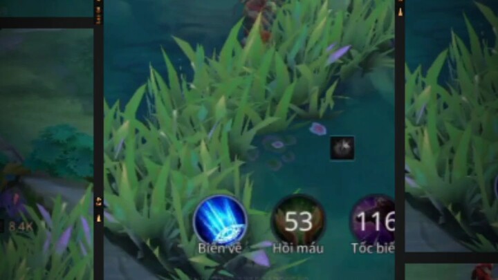 raz ai ai ai đây
