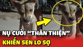 Nụ cười "THÂN THIỆN" của Boss trên BÀN NHẬU khiến mọi người LO SỢ 😂 | Yêu Lu