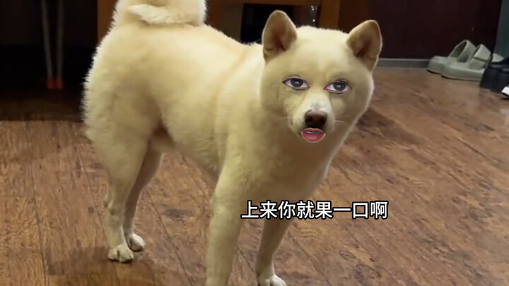 อาเจิน คุณมาจริงๆ เหรอ?