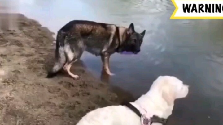 When you see the girl you like