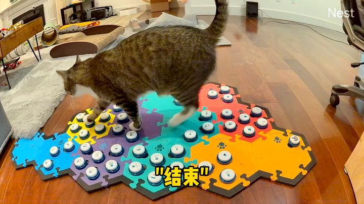 Saya benar-benar gembira dan terkejut karena itu merupakan sebuah pernyataan, bukan tuntutan, dan it