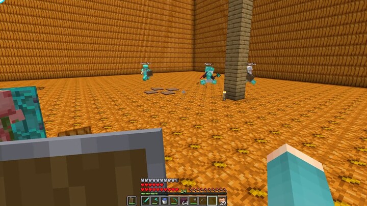 "Minecraft F5" when other players need to regularly perform "health care" for me?? [Scraps & tidbits]