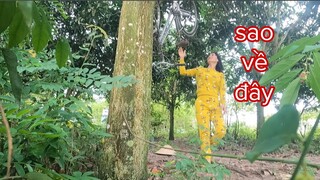 Tư Cà Khịa Tính Cho Sáu Sành Đi Bộ Về Ai Ngờ Nhận Cái Kết Đắng