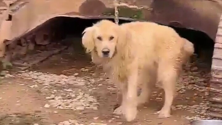 Run into my bros—hahahaha!