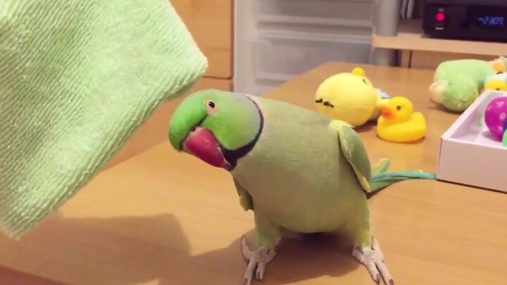 Little Cutey's Happiness Switch