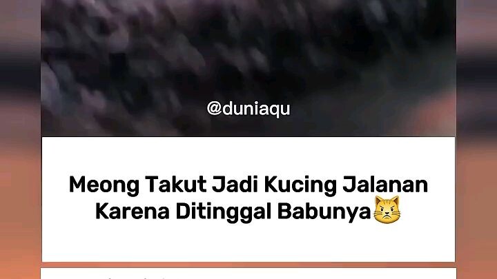 Babu Jangan Tinggalin Aku
