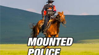 The Costin Mounted Police you've been asking for are here!