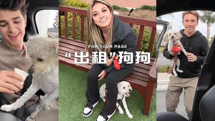 For $500, will you give me your dog for 24 hours?
