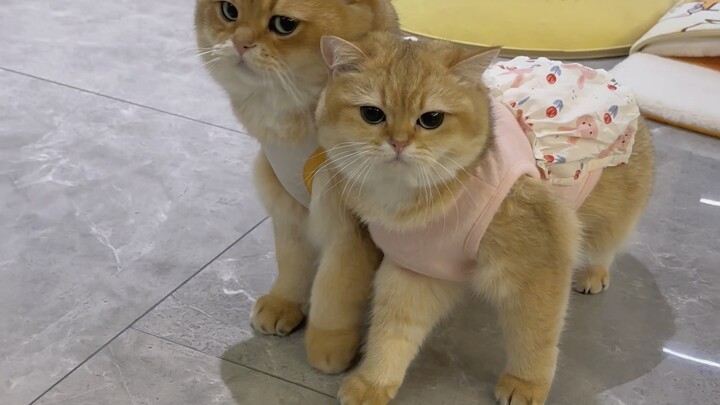 Có một cô con gái rất thích ôm ấp thì cảm giác thế nào nhỉ