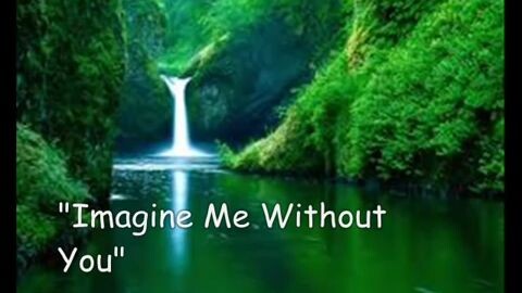 Imagine Me Without You