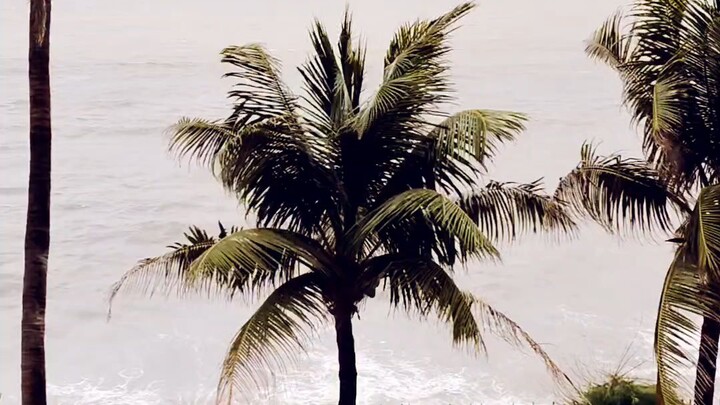 #Ocean #Sea #Beach #Nature #Beautiful #Relaxing #Scenery #Waves #Travel #NatureLover #OceanView #Sea