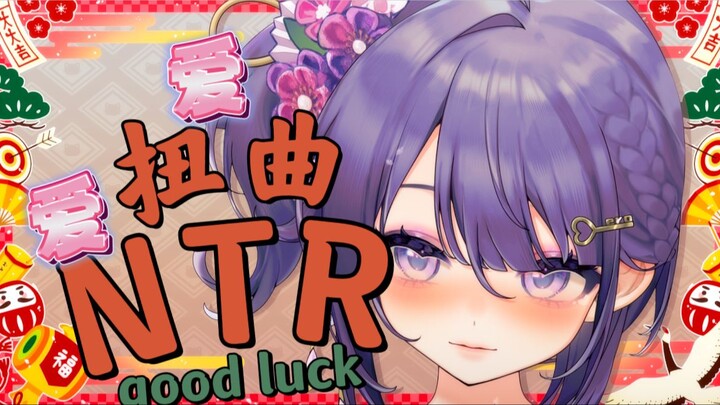 N T R 反复拜读的3本