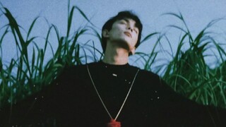 อู๋เล่ย | กุหลาบในดินแดนไร้มนุษย์