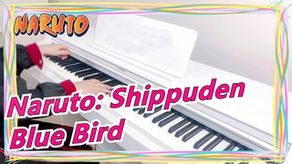 [Naruto: Shippuden] Nơi lá cây nhảy múa, ngọn lửa sẽ không tắt - 'Blue Bird'