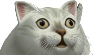 Mur Cat's dance, do you like it?