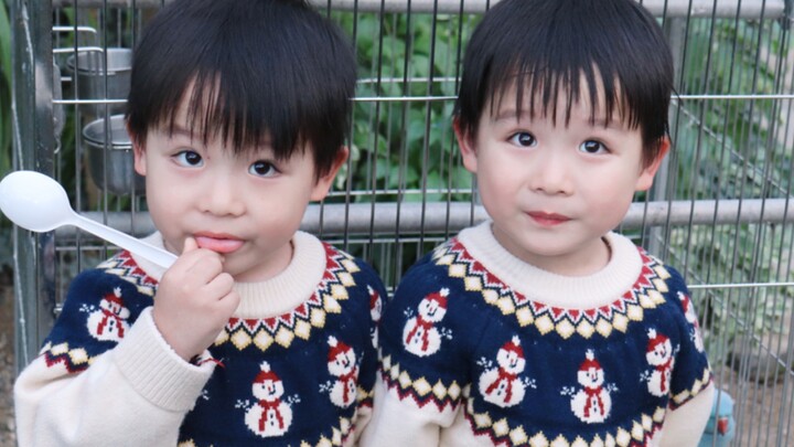 ฉันพบว่าทั้งสองคนสามารถคุยกับนกตัวเล็กๆ ได้นะ น่ารักมากเลย～