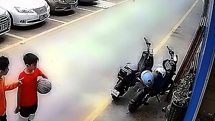 Anjing: Bagus, sopan juga.