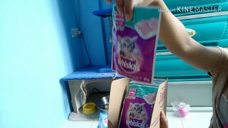 Grocery time for my babies 🐱🐰