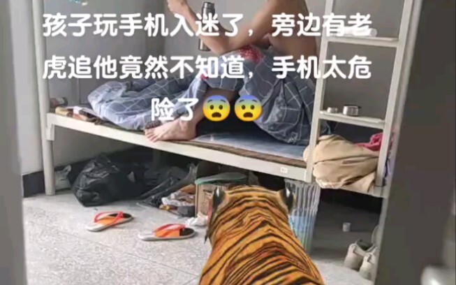 孩子玩手机入迷了，旁边有老虎追他他都不知道，手机太危险了