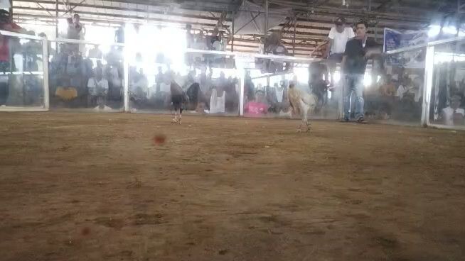 july 14 @kcsa 2nd fyt