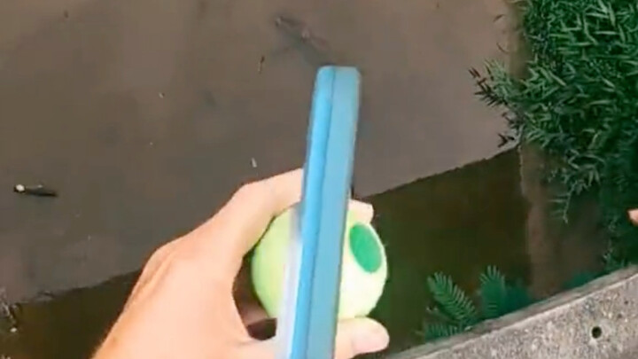 So many apples—how wild!