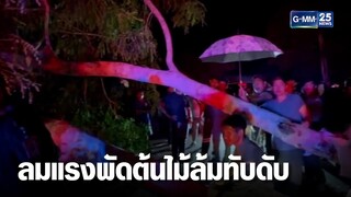 ชายขี่ จยย. ออกจากบ้าน ลมแรงถูกต้นไม้ทับดับ | เคาะข่าวเสาร์อาทิตย์ | GMM25